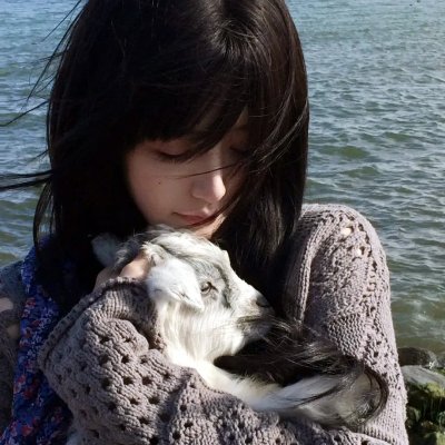 伴我骄阳粤语